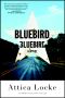 [Highway 59 01] • Bluebird, Bluebird